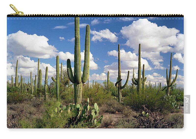 Saguaro Cactus Zip Pouch featuring the photograph Desert Landscape #3 by Kingwu
