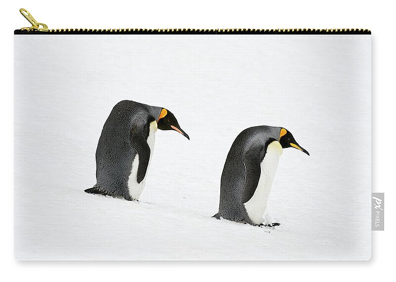 Snow Zip Pouch featuring the photograph King Penguins Aptenodytes Patagonicus #3 by Ben Cranke