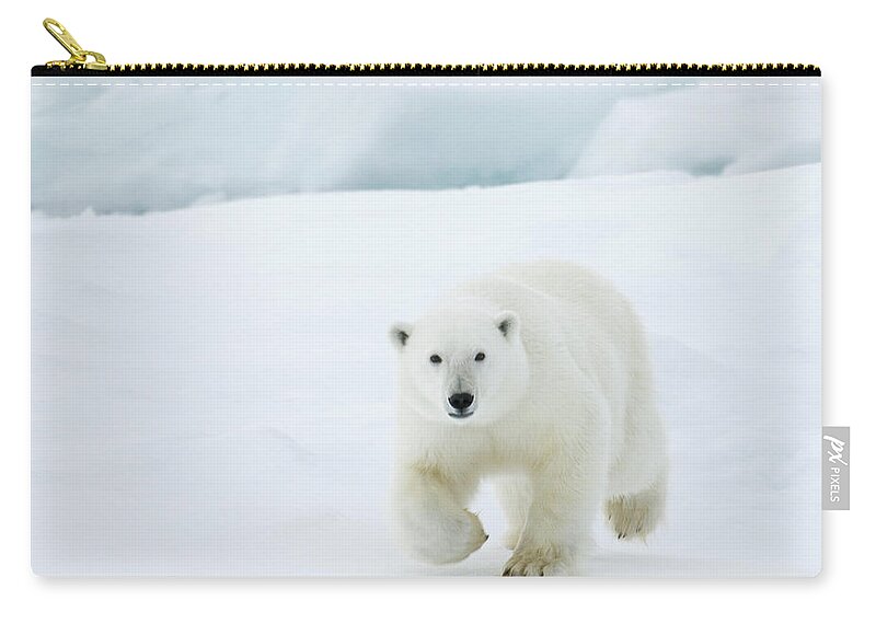 Svalbard Islands Zip Pouch featuring the photograph Polar Bear #3 by Dagsjo