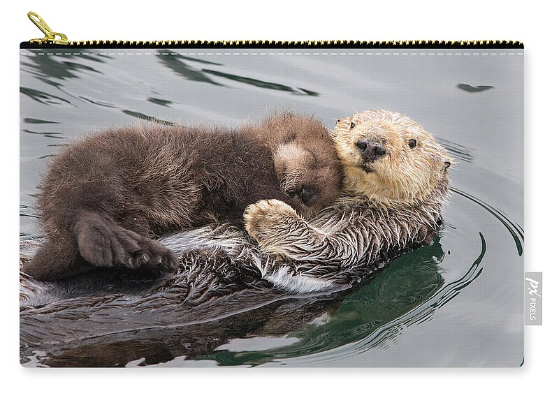 Suzi Eszterhas Zip Pouch featuring the photograph Sea Otter And Sleeping Pup #3 by Suzi Eszterhas