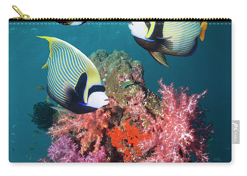 Tranquility Zip Pouch featuring the photograph Tropical Coral Reef Fish #3 by Georgette Douwma