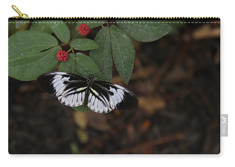 Butterfly Zip Pouch featuring the photograph Butterfly #5 by Richard Krebs
