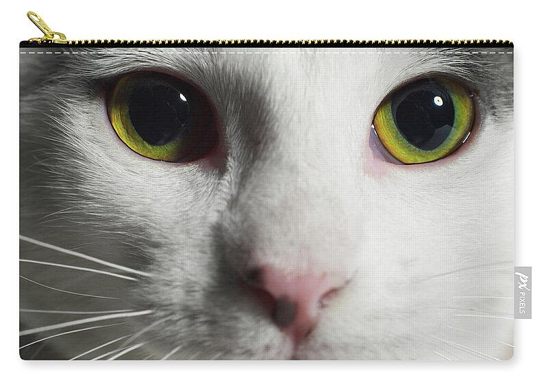 Pets Zip Pouch featuring the photograph Cat #4 by Ryan Mcvay