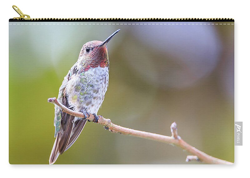 Animal Zip Pouch featuring the photograph Male Anna's Hummingbird #4 by Briand Sanderson