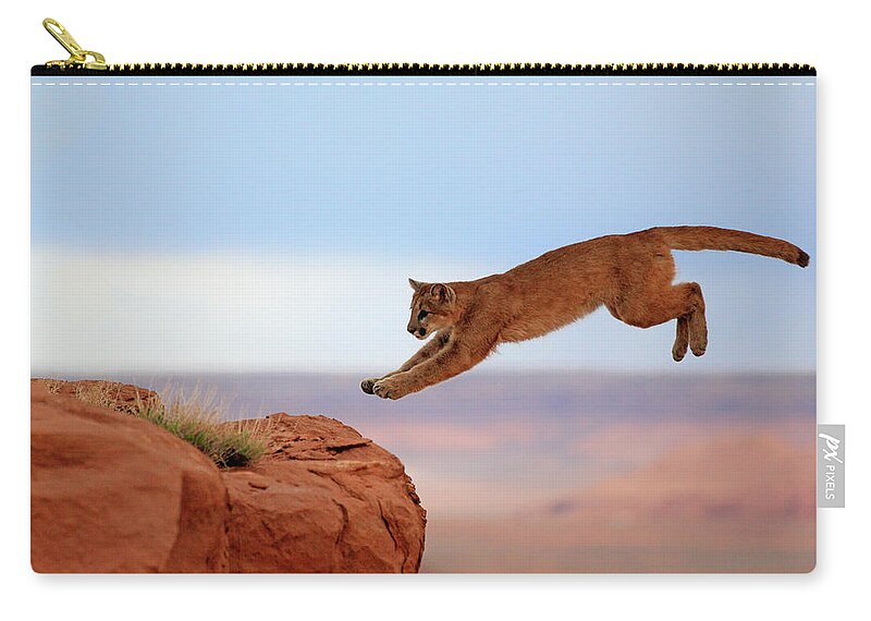 Scenics Zip Pouch featuring the photograph Mountain Lion #4 by Tier Und Naturfotografie J Und C Sohns