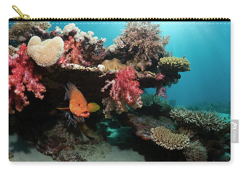 Tranquility Zip Pouch featuring the photograph Coral Reef Scenery #48 by Georgette Douwma