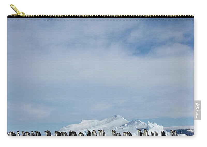 Cool Attitude Zip Pouch featuring the photograph Antarctica, Snow Hill Island, Emperor #5 by Paul Souders