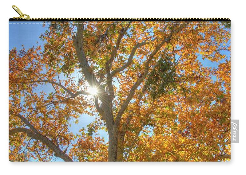 Fall Zip Pouch featuring the photograph Fall #5 by Marc Bittan
