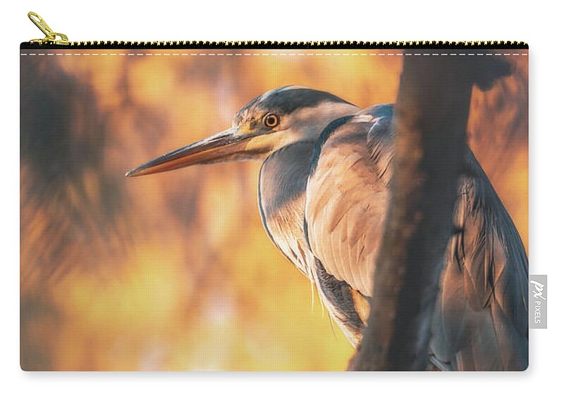 Heron Zip Pouch featuring the photograph Grey Heron - Ardea cinerea #10 by Marc Braner
