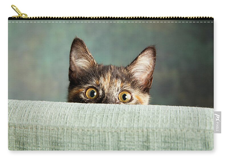 Photography Zip Pouch featuring the photograph Portrait Of A Tortoiseshell Cat #6 by Panoramic Images