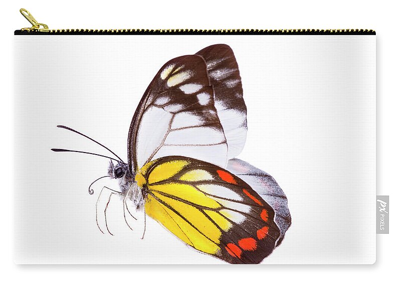 Orange Color Zip Pouch featuring the photograph Butterfly #7 by Liliboas