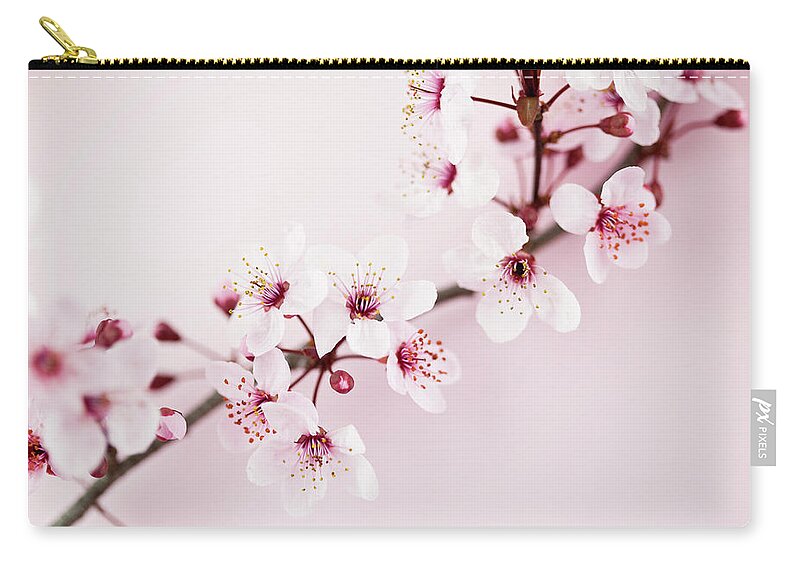 Bud Zip Pouch featuring the photograph Sakura Cherry Blossom #9 by Catlane