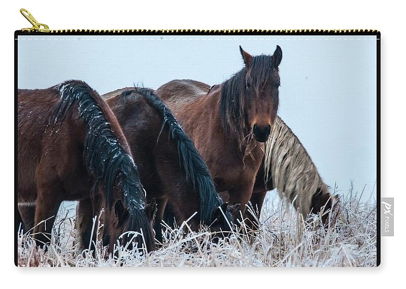  Zip Pouch featuring the photograph A Bit of Frost by Jolynn Reed