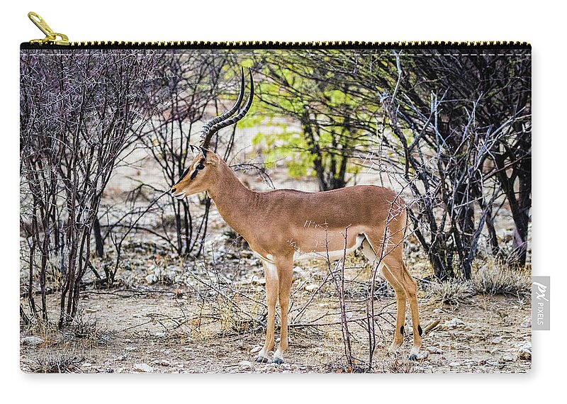 Impala Zip Pouch featuring the photograph A black faced impala, Namibia by Lyl Dil Creations