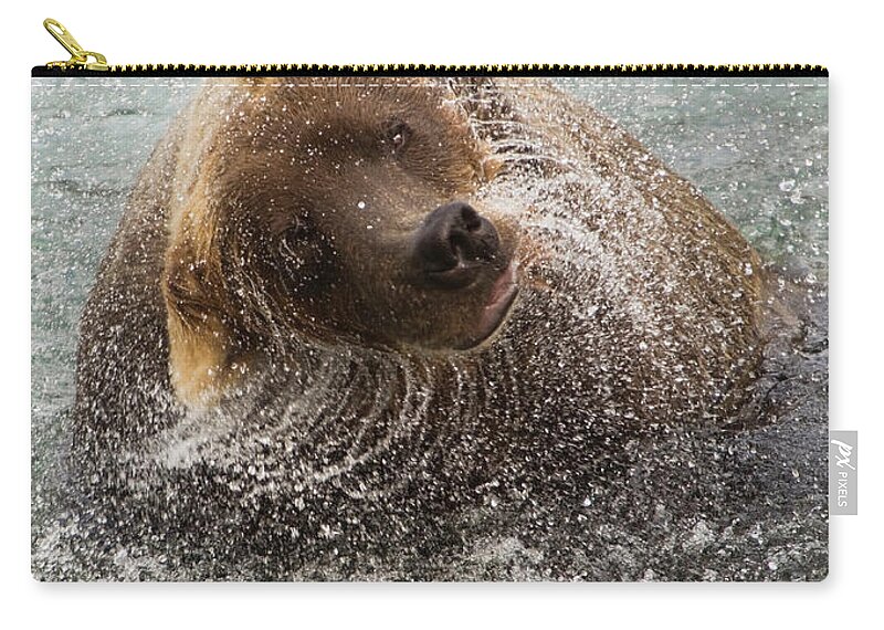 Brown Bear Zip Pouch featuring the photograph A Brown Bear Shakes Off Excess Water by Mint Images - Art Wolfe