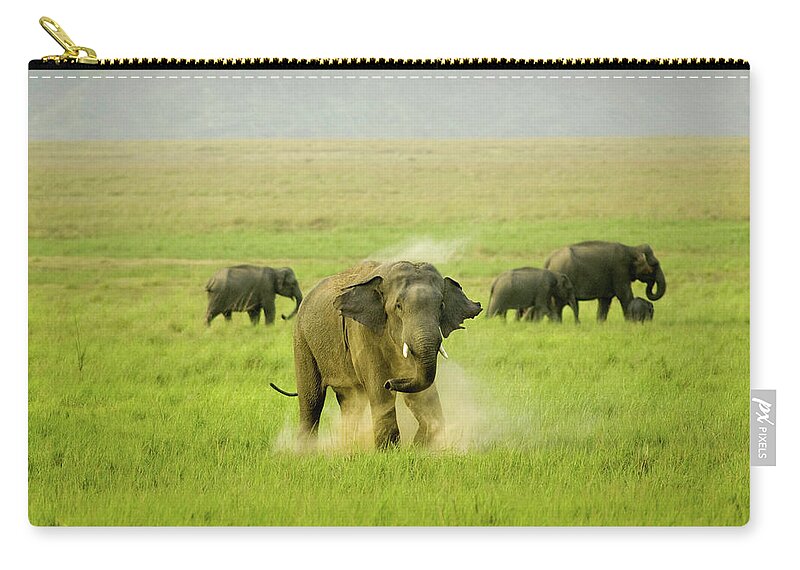 Dust Zip Pouch featuring the photograph A Cloud Of Dust by The Wild Side By Nachiketa Bajaj