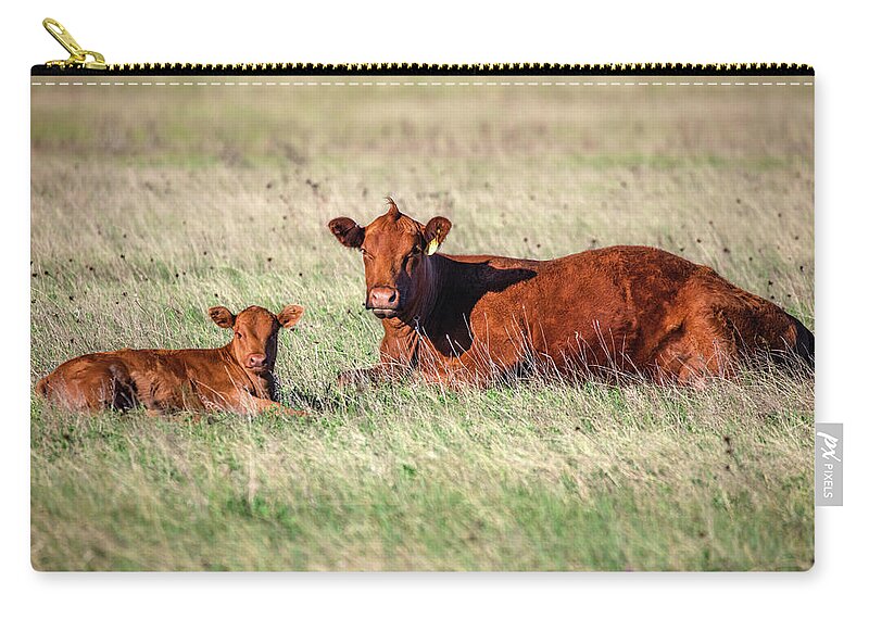 Red Angus Zip Pouch featuring the photograph A Cow and Her Calf by Todd Klassy