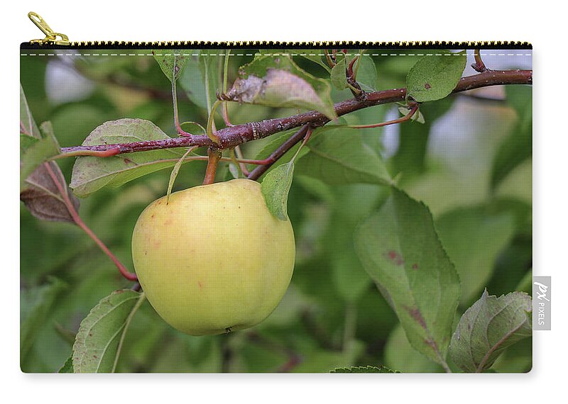 Apple Zip Pouch featuring the photograph A Delicious Apple by Mary Anne Delgado