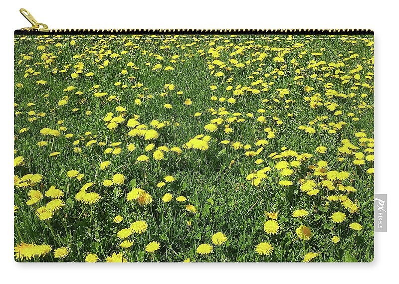 Flowers Zip Pouch featuring the photograph A Field of Dandelions by Boyd Carter