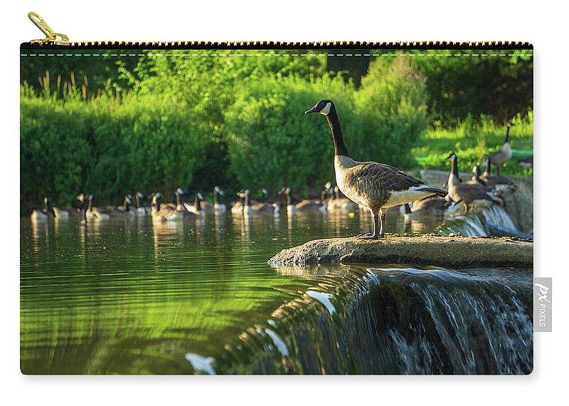 Duck Zip Pouch featuring the photograph A Gaggle of Geese by Jason Fink
