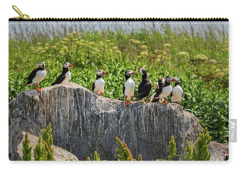 Puffins Zip Pouch featuring the photograph A Gathering of Puffins by Scene by Dewey