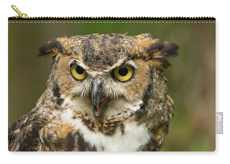 Owl Zip Pouch featuring the photograph A Great Horned Owl with Beak Open by Liz Albro