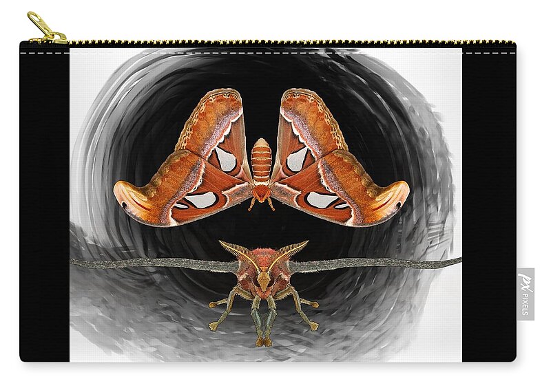 Atlas Moth Zip Pouch featuring the drawing A is For Atlas Moth by Joan Stratton