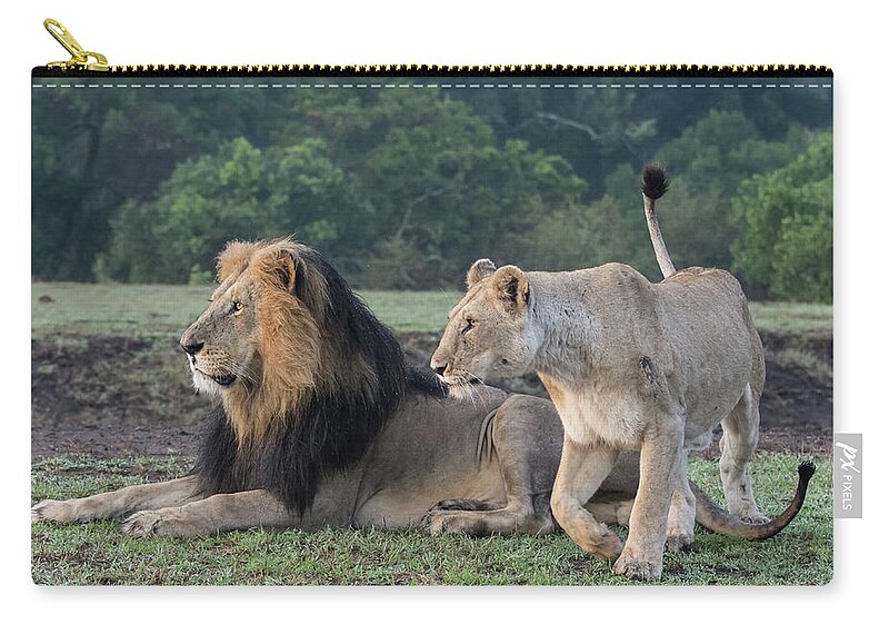 Lion Zip Pouch featuring the photograph A Pair of Lions by Mark Hunter