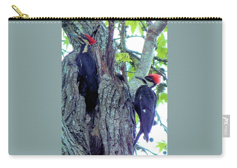 Birds Zip Pouch featuring the photograph A Pair of Pileated Woodpeckers by Karen Stansberry