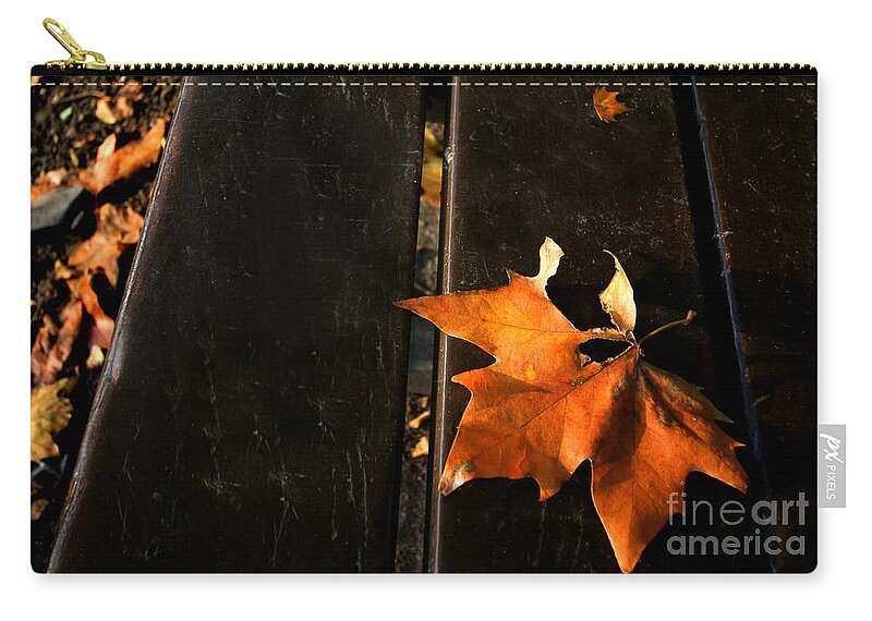 Autumn Carry-all Pouch featuring the photograph A Park Bench in Autumn by Steve Ember