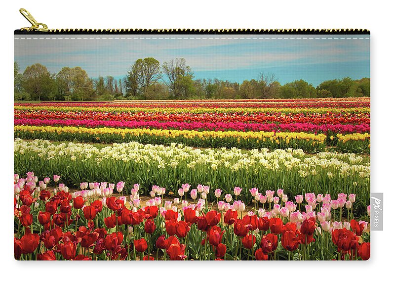 Tulip Zip Pouch featuring the photograph A Piece Of Holland in Jersey by Kristia Adams