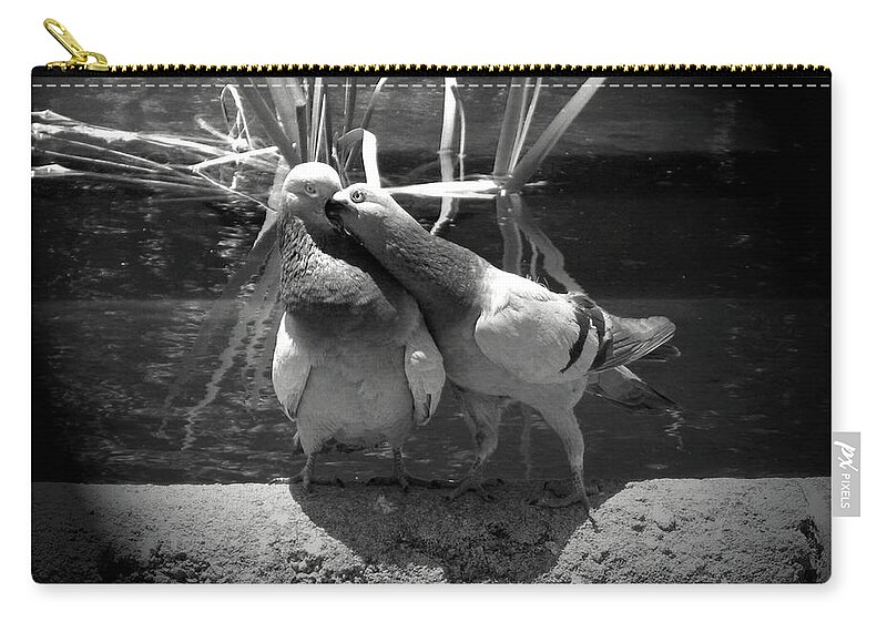 Black And White Zip Pouch featuring the photograph A Pigeons Kiss by Inge Elewaut
