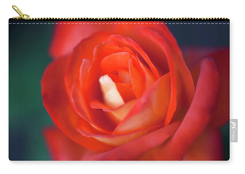 Petal Zip Pouch featuring the photograph A Red Rose, Extreme Close Up, Selective by Tobias Titz