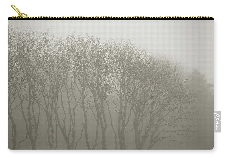 In A Row Zip Pouch featuring the photograph A Row Of Bare Trees In Fog by Sindre Ellingsen