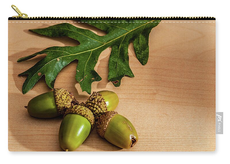 New Jersey Zip Pouch featuring the photograph Acorns from the Salem Oak Tree by Louis Dallara
