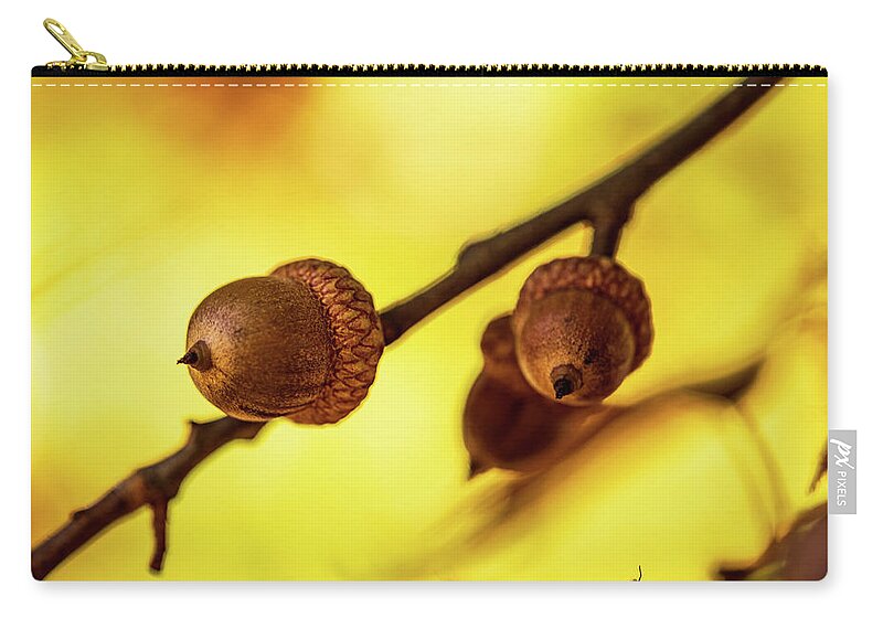 Acorns Zip Pouch featuring the photograph Nature Photography - Trees #1 by Amelia Pearn