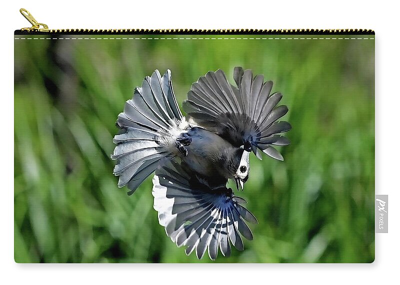 Tufted Titmouse Zip Pouch featuring the photograph Aerial Acrobat by Stuart Harrison