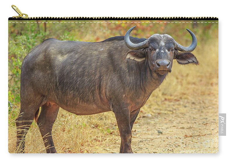 Buffalo Zip Pouch featuring the photograph African buffalo Kruger by Benny Marty