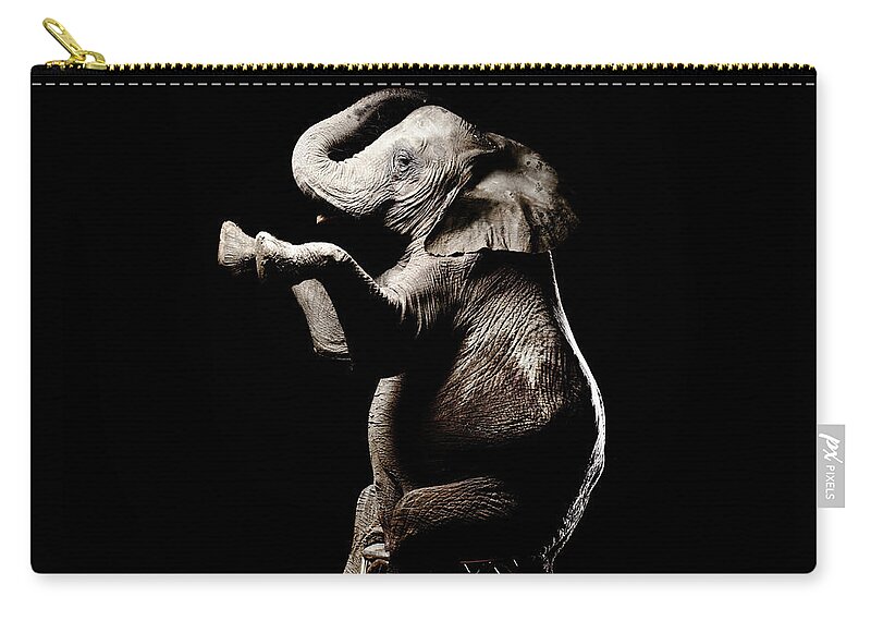 Aging Process Zip Pouch featuring the photograph African Elephant Sittiing With by Henrik Sorensen