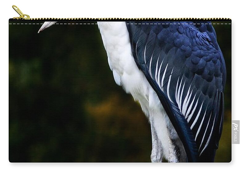 Bird Zip Pouch featuring the photograph African Marabou Stork by Elaine Manley