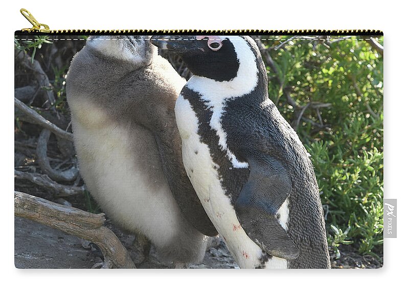 Penguin Carry-all Pouch featuring the photograph African Penguin with Chick by Ben Foster