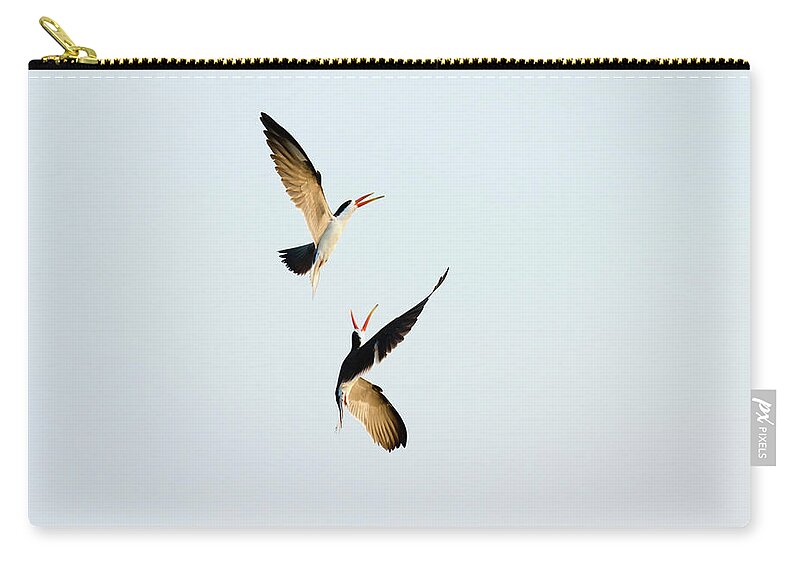 Botswana Zip Pouch featuring the photograph African Skimmers, Chobe River, Kasane by Hugh Mackintosh