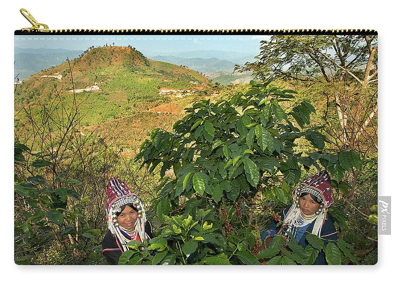 Asian And Indian Ethnicities Zip Pouch featuring the photograph Akha Women Harvesting Coffee by Oneclearvision