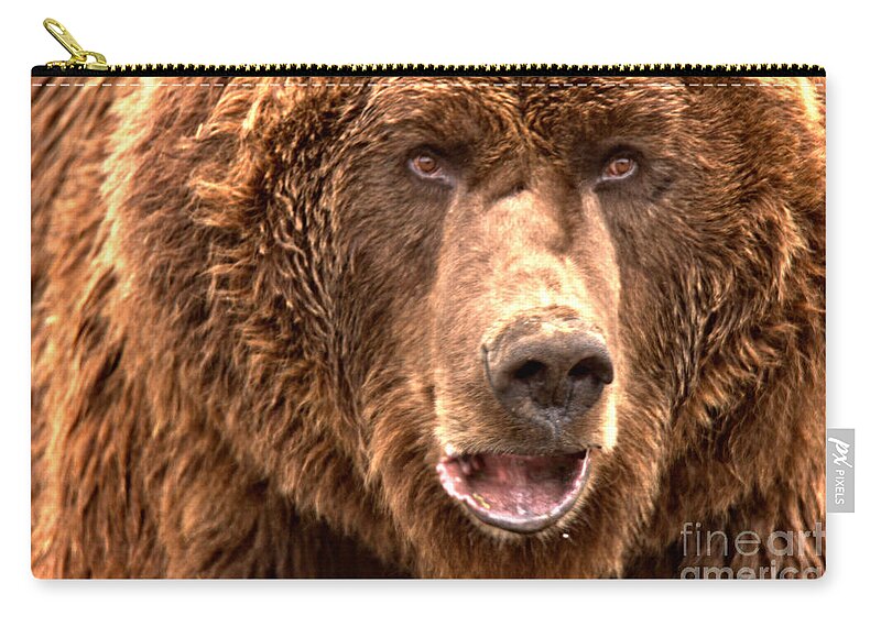Brown Bear Zip Pouch featuring the photograph Alaskan Grizzly Closeup by Adam Jewell