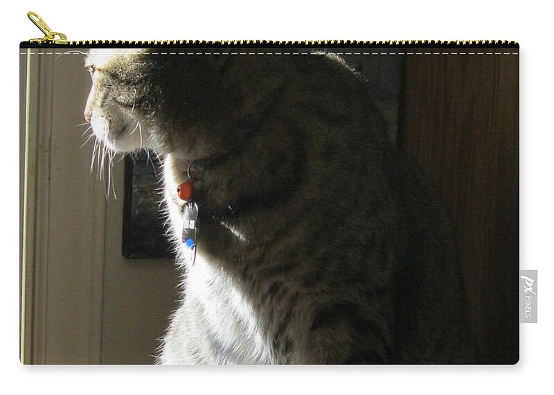 Extreme Chiaroscuro Zip Pouch featuring the pastel Alert by David Zimmerman
