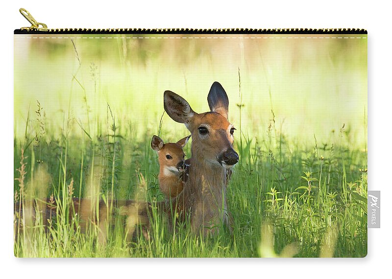 Grass Zip Pouch featuring the photograph Alert Doe And Fawn Hiding In The Grass by Jpecha