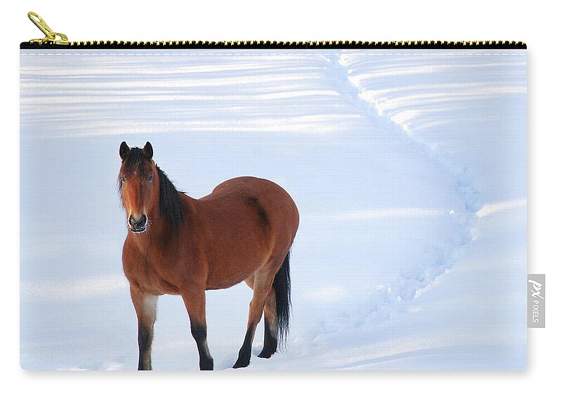 Horse Zip Pouch featuring the photograph Alert Horse Standing On Path I by Anne Louise Macdonald Of Hug A Horse Farm