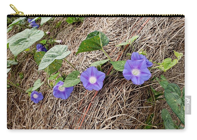 Floral Zip Pouch featuring the photograph All in a Row by Karen Harrison Brown