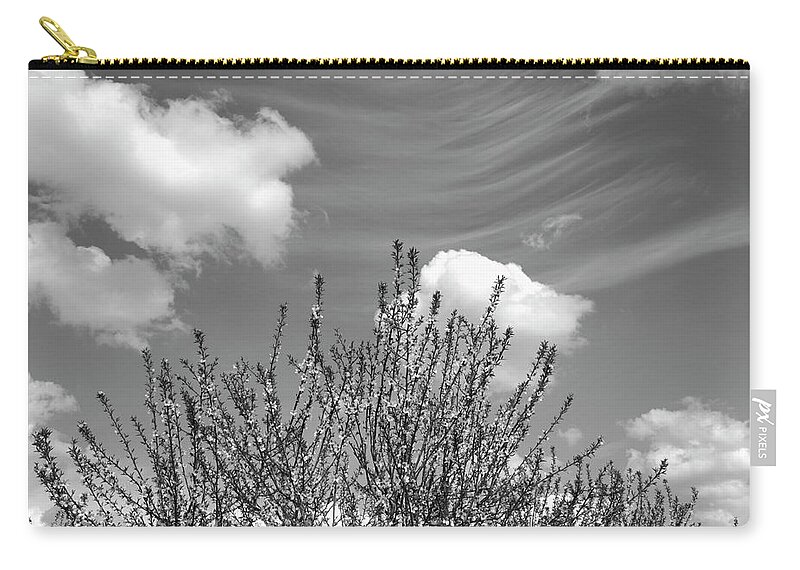 Nut Zip Pouch featuring the photograph Almond Orchard With Springtime Blossoms by Gomezdavid