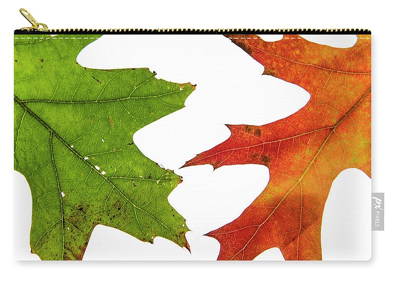 Leaves Carry-all Pouch featuring the photograph Almost Touching Fall by Kathy Paynter